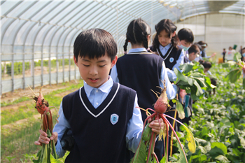 青岛白珊学校师生探秘波尼亚生产线